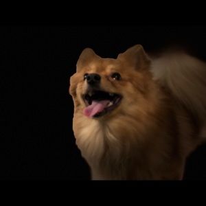 Meet your Posher, Mario